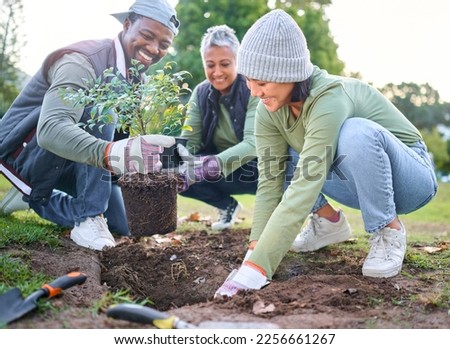 Plants, community service and volunteering group in park, garden and nature for sustainable environment. Climate change, tree gardening and earth day project for growth, global care and green ecology Royalty-Free Stock Photo #2256661267