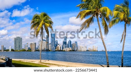 the skyline of miami with palm trees, florida