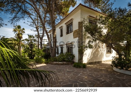 Family home with swimming pool and lawn, palm garden and pine trees.