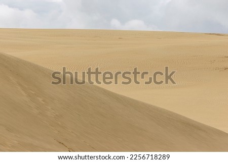 Sand dunes in the far north of New Zealand with great detail in the wind blown texture of the sand. 