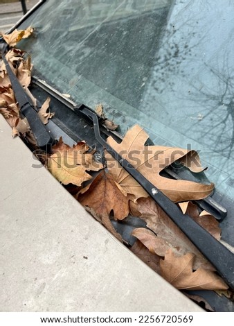 autumn, dried autumn leaves on window of a parked car in fall. transportation concept photo. dried yellow leaves on car or vehicle
