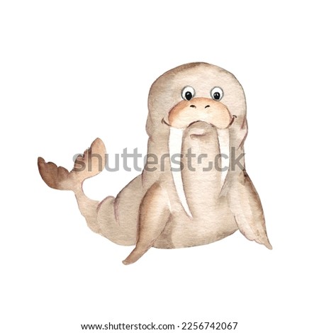 Cute walrus isolated on white background. Watercolor hand drawn illustration. Perfect for kid cards and posters, clothes prints and wallpaper design, scrapbooking.