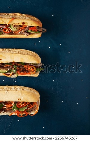banh mi sandwich. vietnamese cuisine. place for text Royalty-Free Stock Photo #2256745267