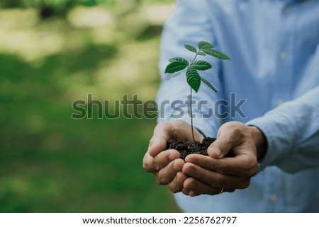 Business hands holding young plant on blur green nature background.World environment day. Global community teamwork.Volunteer charity work.