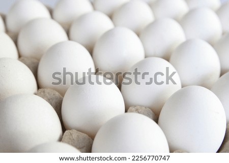 beautiful eggs high resolution pictures