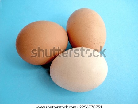 beautiful eggs high resolution pictures