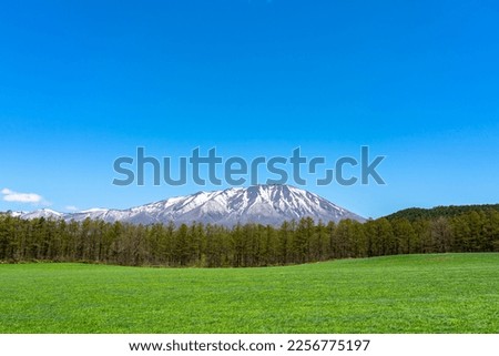 Beauty nature view, snowcapped mountain range in background, forest and green grassland in foreground with clear blue sky in springtime season sunny day morning, beauty rural natural landscape scene Royalty-Free Stock Photo #2256775197
