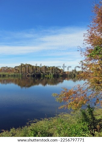 Scenic Landscape at Six Mile Cypress Slough Preserve Florida Royalty-Free Stock Photo #2256797771