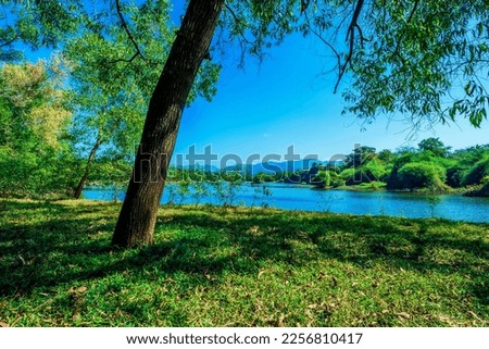 Scenic Lake View surrounded by greenery gives a tranquil and peaceful feeling
