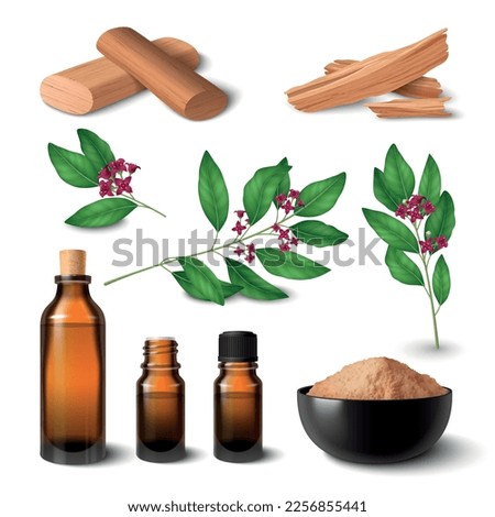 Sandalwood realistic set of plant twigs wooden material essential oil vials perfume powder fragrant sticks and chips isolated vector illustration Royalty-Free Stock Photo #2256855441