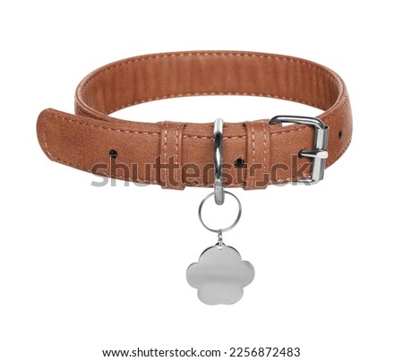 Brown leather dog collar with tag isolated on white Royalty-Free Stock Photo #2256872483