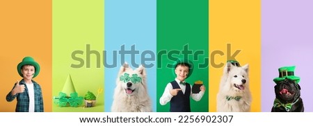 Festive collage for St. Patrick's Day celebration with little boy and cute dogs on color background