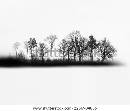 An island of dark gloomy forest with textured trees on a white background with a blur and motion effect. The concept of dissolving dark-evil into white-good. Royalty-Free Stock Photo #2256904855
