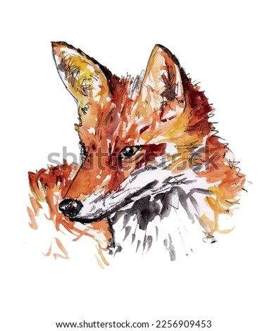 Fox head sketch art vector. Wildlife wild animal isolated.
