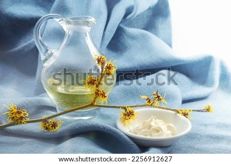 Hamamelis or witch hazel, skin cream in a bowl and essence in a glass jug, blooming twig on a blue napkin, medical plant for natural cosmetics, copy space, selected focus, narrow depth of field Royalty-Free Stock Photo #2256912627