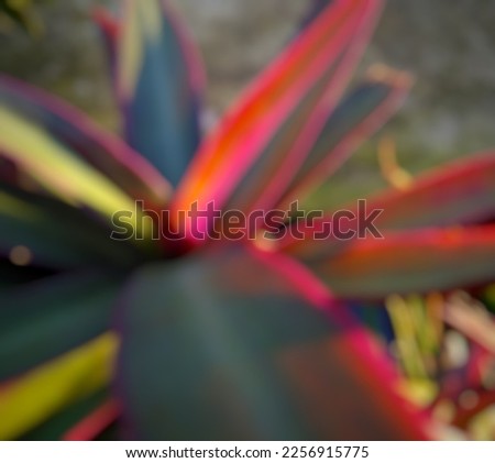 Abstract background of defocused picture of beautiful plants that exposed with sunlight in the morning