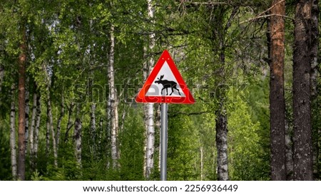 A road sign warning of moose crossings is seen in the foreground of the picture, with a deep green forest in the background