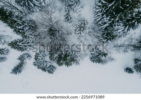 Winter chill. Natural winter landscape from air. Aerial view on the road and forest at the winter time. Forest and snow