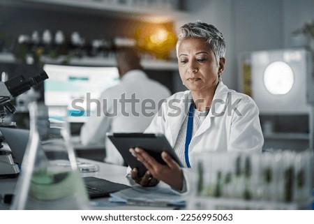 Senior scientist woman, tablet and lab research at desk with data analytics for future food security, plants and goal. Mature science expert, mobile touchscreen ux or study for agriculture innovation