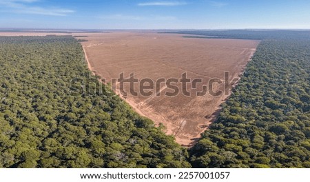 Drone panoramic aerial view of illegal amazon deforestation, Mato Grosso, Brazil. Forest trees and agriculture field land. Concept of climate change, global warming, ecology, environment, nature. Royalty-Free Stock Photo #2257001057