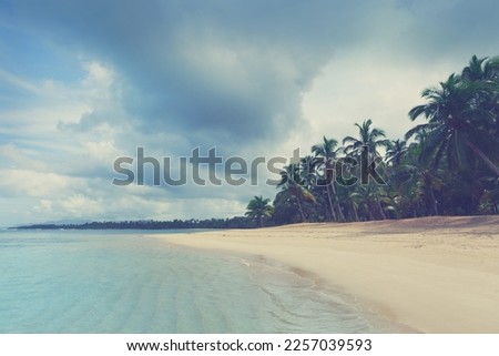 Caribbean sea and palm trees. Travel background.