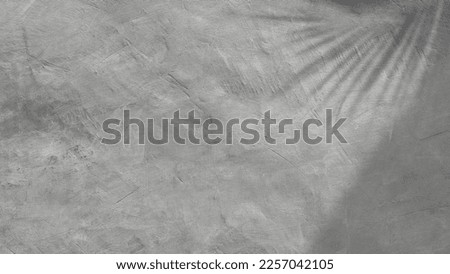 Empty grey cement rough wall background with shadow leaves and sunlight well editing text on free space