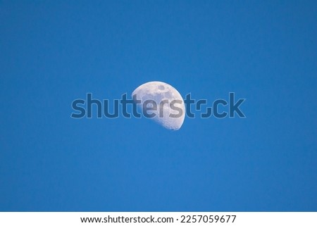 The half moon(waxing moon) with the blue sky.