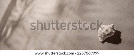 Minimalist aesthetic neutral summer vacation texture banner, close up view of a sea shell with floral shadows on a beige textile background. Royalty-Free Stock Photo #2257069999