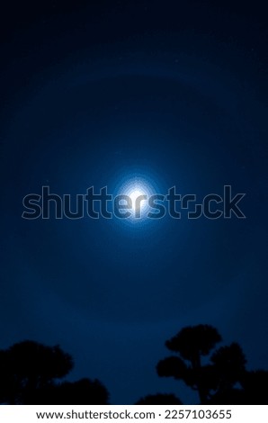 Picture of the a full moon and aura of the moon with trees.