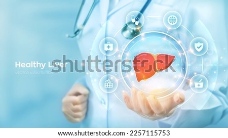 Healthy Liver. Cirrhosis and hepatitis treatment medical concept. Doctor holding in hand the hologram of Human liver and medicine icons network connection on virtual screen. Vector illustration. Royalty-Free Stock Photo #2257115753