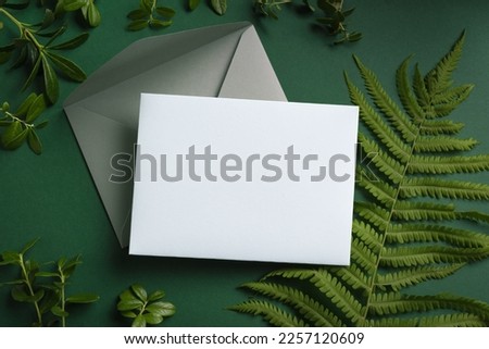 Greeting or invitation blank card and  green fern plant leaves on dark green background. Stylish creative mock up, copy space.