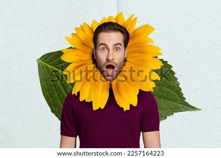 Magazine banner collage of shocked man with yellow daisy flower petals floriculture natural care concept