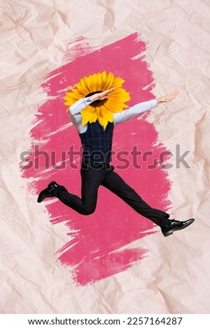 Photo artwork minimal collage picture of funky funny guy sunflower instead of head isolated drawing background