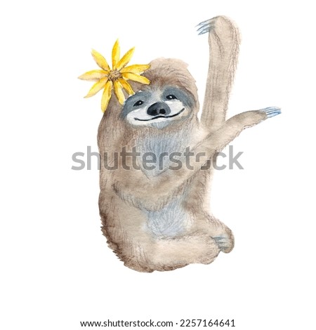 Cute xenarthra isolated on white background. Watercolor hand drawn illustration. Perfect for kid cards and posters, wallpaper, alphabet design, scrapbooking.
