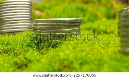 stacks of coins on green background for background banner .coins on green moss background.