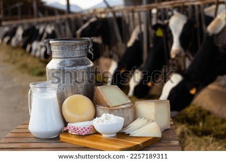 Various types of fresh natural farm dairy products on table on background of open cowshed.. Royalty-Free Stock Photo #2257189311