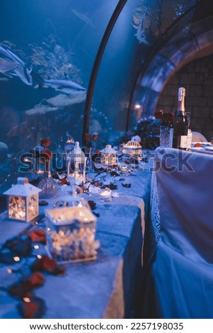 Romantic dinner at the underwater world in a large aquarium. Romantic dinner. Romantic candlelight dinner for Valentine's Day.