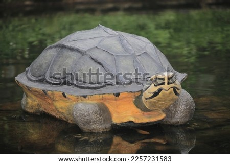 turtle that came out of the water to catch some rays.