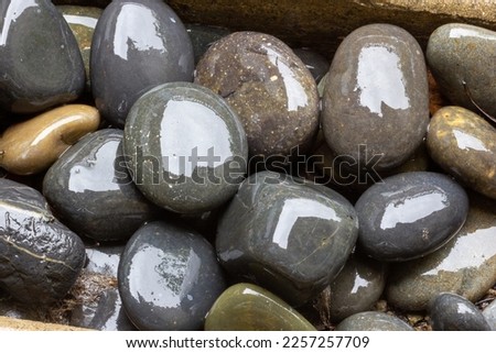 Bring your creative project to life with this close-up of wet rocks after the rain. Great for nature and background themes, this high-quality stock photo will add a rainy day mood to your designs. 