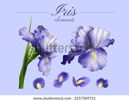 Illustration of purple iris flower buds and petals isolated on light purple background. Royalty-Free Stock Photo #2257309721