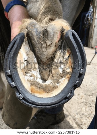 steel horse shoe hand made by English farrier. Royalty-Free Stock Photo #2257381915