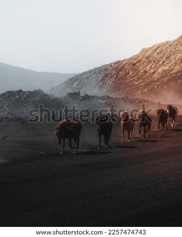 Horses running on a dusty volcano