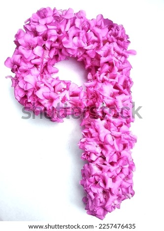 nine shape font barleria cristata pink flowers design element isolated on white background.