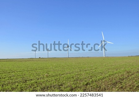Turbines at wind farm on agricultural land in winter