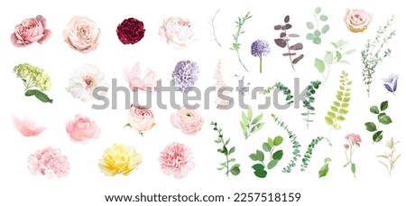Pink rose, hydrangea, dahlia, white peony, magnolia, ranunculus, spring garden flowers, eucalyptus, greenery, fern, vector design big set. Wedding summer collection. Elements are isolated and editable
