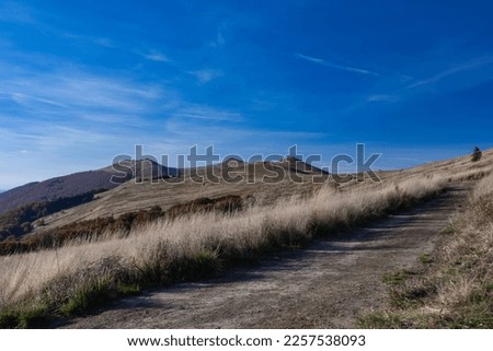 Grassy steppes in the mountains in autumn