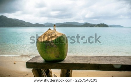 The Tropical Nature of Panama 