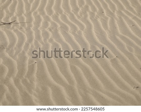 Sand dunes in the Thar desert Pakistan. Beautiful patterns created on the sand dunes by the wind.