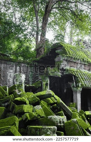 A photo taken at Ta Prohm of fallen sandstone blocks lying in front of partially collapsed structures and a wall featuring decorative bas reliefs. Bright green moss grows over the ruins. 