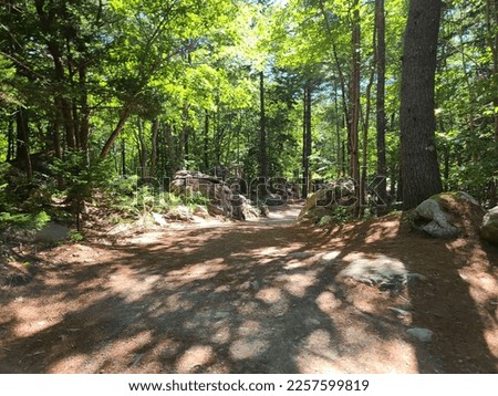 A well kept hiking trail through the woods on a summer day. Royalty-Free Stock Photo #2257599819